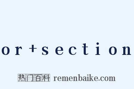 or section是什么意思的图片